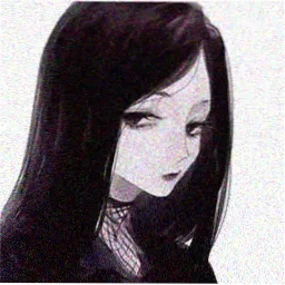 观众冬青的头像